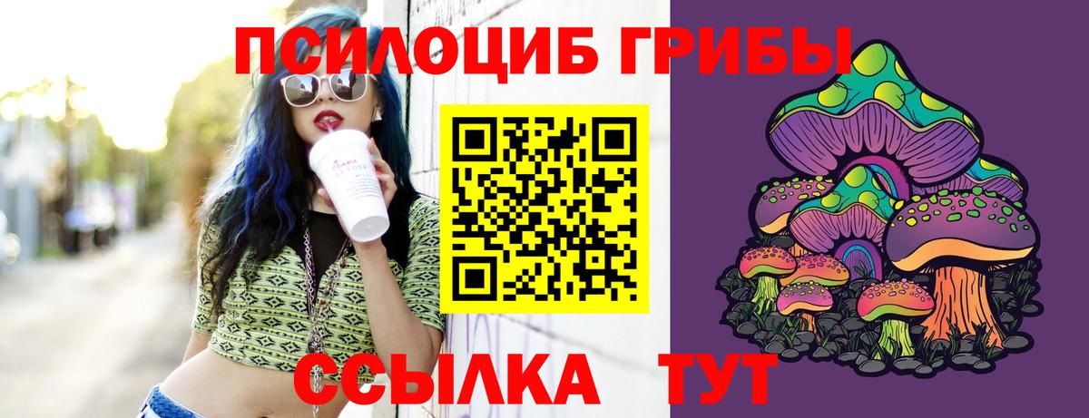 Каменка  Галлюциногенные грибы MAGIC MUSHROOMS  Вход с VPN 