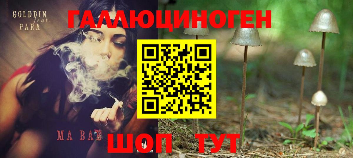 Псилоцибиновые грибы мицелий Каменка